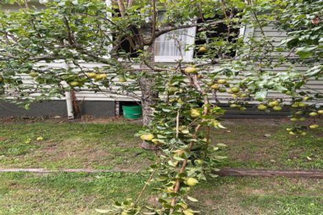 Photo of property in 214 Waitaha Road, Welcome Bay, Tauranga, 3112