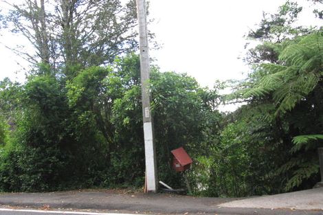 Photo of property in 24 Tanekaha Road, Titirangi, Auckland, 0604