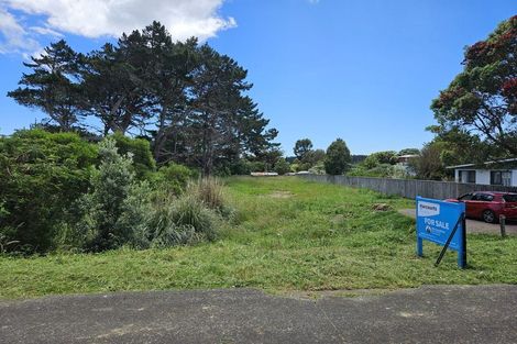 Photo of property in 870 Hokio Beach Road, Hokio Beach, Levin, 5571