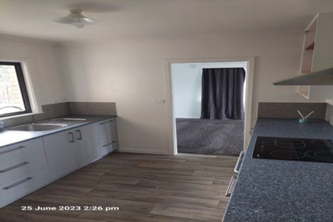 Photo of property in 87 Arapuni Street, Putaruru, 3411