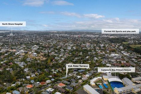Photo of property in 23a Peter Terrace, Castor Bay, Auckland, 0620