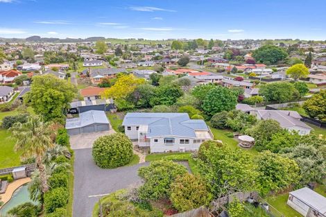 Photo of property in 31 George Street, Morrinsville, 3300