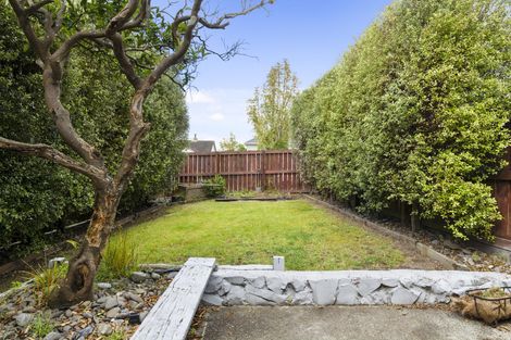 Photo of property in 11a Dunkirk Street, Gate Pa, Tauranga, 3112