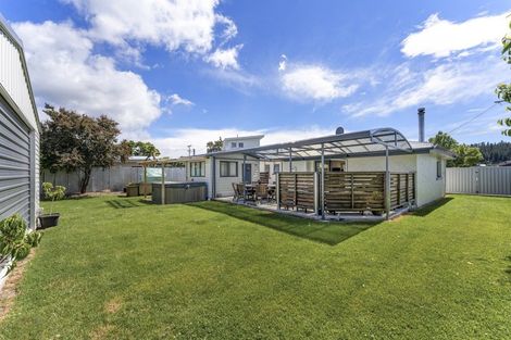 Photo of property in 22 Marslin Street, Alexandra, 9320