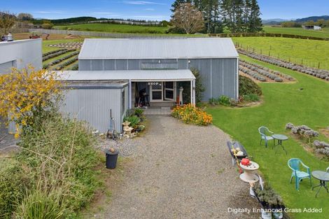 Photo of property in 169 Brotherhood Road, Kihikihi, Te Awamutu, 3875