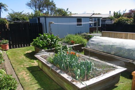 Photo of property in 6 Tybalt Street, Stratford, 4332