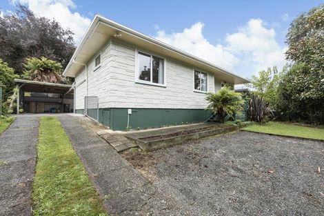 Photo of property in 169 Arapuni Street, Putaruru, 3411