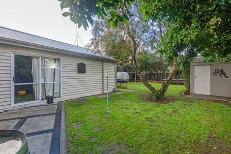 Photo of property in 43 Knowles Street, Terrace End, Palmerston North, 4410