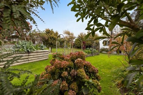 Photo of property in 6 Belvue Crescent, Witherlea, Blenheim, 7201