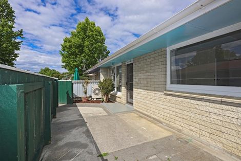 Photo of property in 813a Clive Street, Akina, Hastings, 4122