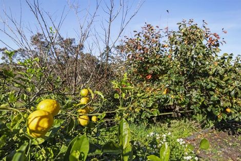 Photo of property in 2/178 Stapleford Crescent, Browns Bay, Auckland, 0630