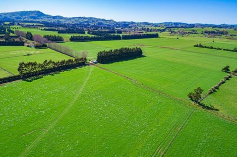 Photo of property in 118 Paierau Road, Opaki, Masterton, 5881