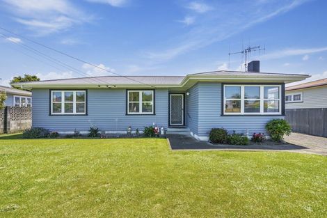 Photo of property in 14 Rata Street, Levin, 5510