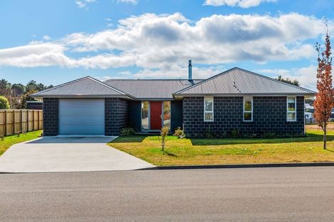 Photo of property in 82 Parekaawa Drive, Motuoapa, Turangi, 3382