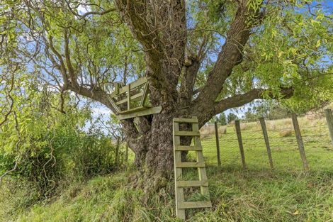 Photo of property in 280 Pukeokahu Road, Taoroa Junction, Taihape, 4793