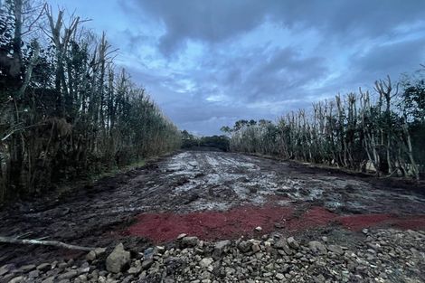 Photo of property in 168 Hamlin Road, Ardmore, Papakura, 2582