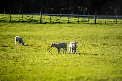 Photo of property in 361 Waitoki Road, Waitoki, Kaukapakapa, 0871