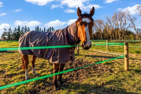 Photo of property in 45 Paetai Road, Ohinewai, Huntly, 3771