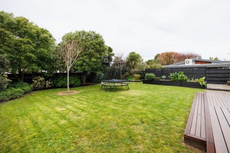 Photo of property in 50 Newcastle Street, Hokowhitu, Palmerston North, 4410