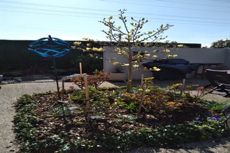 Photo of property in 1 Glenbrook Drive, Mosgiel, 9024