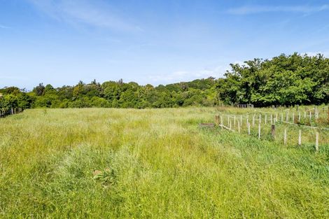 Photo of property in 203 Henwood Road, Westgate, 0814