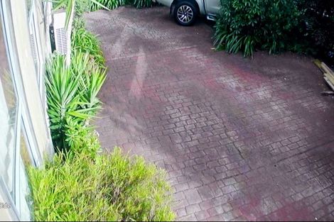 Photo of property in 113 Winara Avenue, Waikanae, 5036