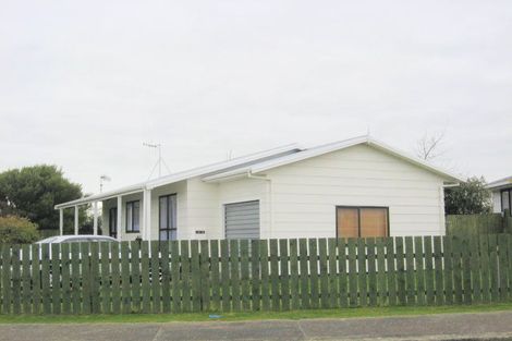 Photo of property in 22 Douglas Street, Levin, 5510