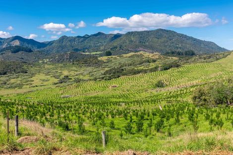 Photo of property in 183 Koutu Loop Road, Whirinaki, 0473