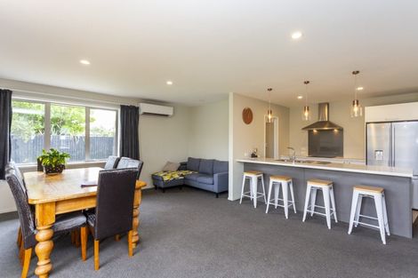 Photo of property in 64 Anaru Road, Lincoln, 7608