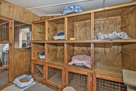 Photo of property in 125 Baldrock Road, Brynderwyn, Maungaturoto, 0587