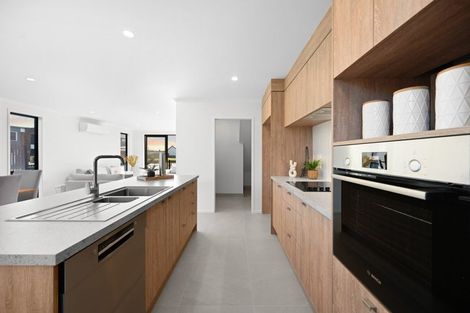 Photo of property in 44 Musselwhite Terrace, Chartwell, 3210