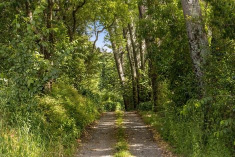 Photo of property in 95c Wright Road, Aongatete, Katikati, 3181