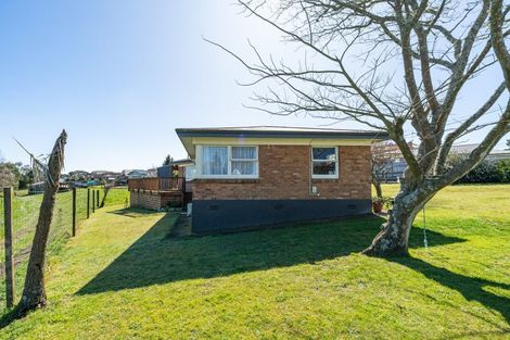 Photo of property in 550 Puniu Road, Te Awamutu, 3800
