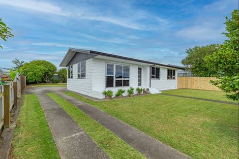 Photo of property in 25 Solway Street, Levin, 5510