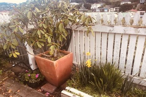 Photo of property in 71 Clyde Street, Island Bay, Wellington, 6023