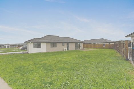 Photo of property in 68 Hinemoa Street, Levin, 5510