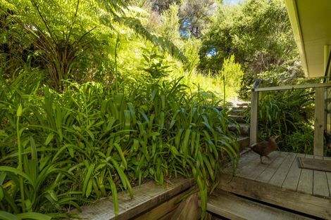 Photo of property in 124 Te Mahia Road, Te Mahia, Marlborough Sounds, 7282