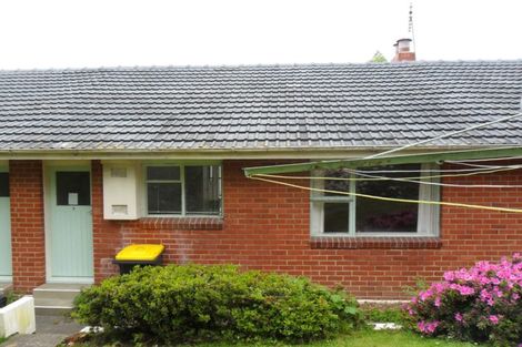 Photo of property in 3 Maori Road, Dunedin Central, Dunedin, 9016