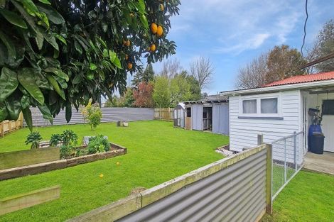 Photo of property in 8 Hendersons Line, Marton, 4710