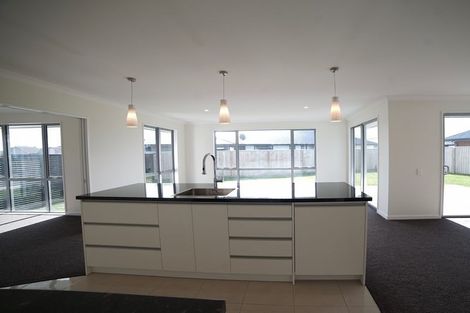 Photo of property in 13 Wakeman Way, Kaiapoi, 7630