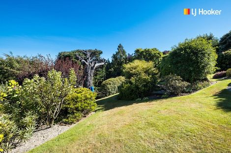 Photo of property in 115 Belford Street, Waverley, Dunedin, 9013