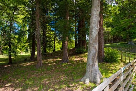 Photo of property in 2307 Wharekopae Road, Ngatapa, Gisborne, 4072