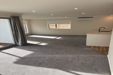 Photo of property in 115a Limbrick Street, Terrace End, Palmerston North, 4410