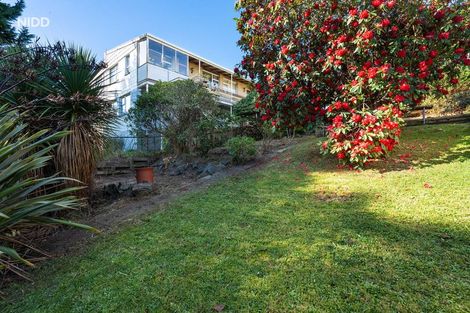 Photo of property in 116 Elgin Road, Kenmure, Dunedin, 9011