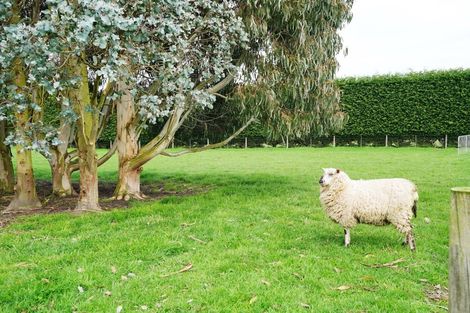 Photo of property in 420 Mcivor Road, Myross Bush, Invercargill, 9876