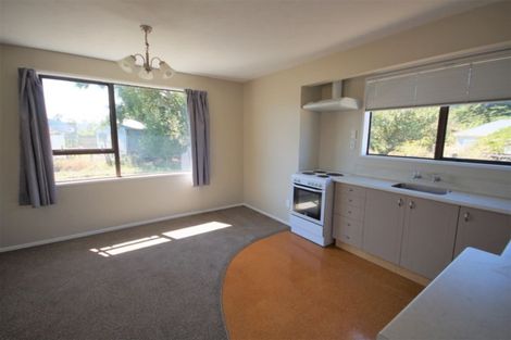 Photo of property in 39 Parnassus Street, Waiau, 7332