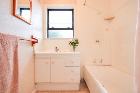 Photo of property in 220 Lumsden Place, Akina, Hastings, 4122