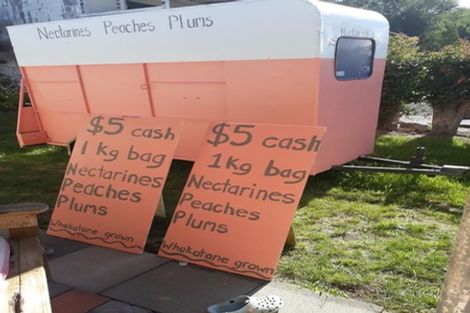 Photo of property in 17 Mccutchan Road, Otakiri, Whakatane, 3193