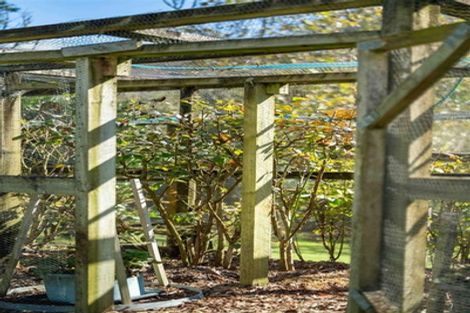 Photo of property in 46 Herbert Drive, Whangamata, 3620