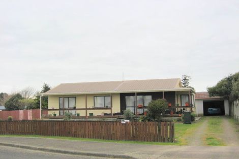 Photo of property in 24 Douglas Street, Levin, 5510